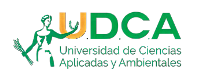 UDCA